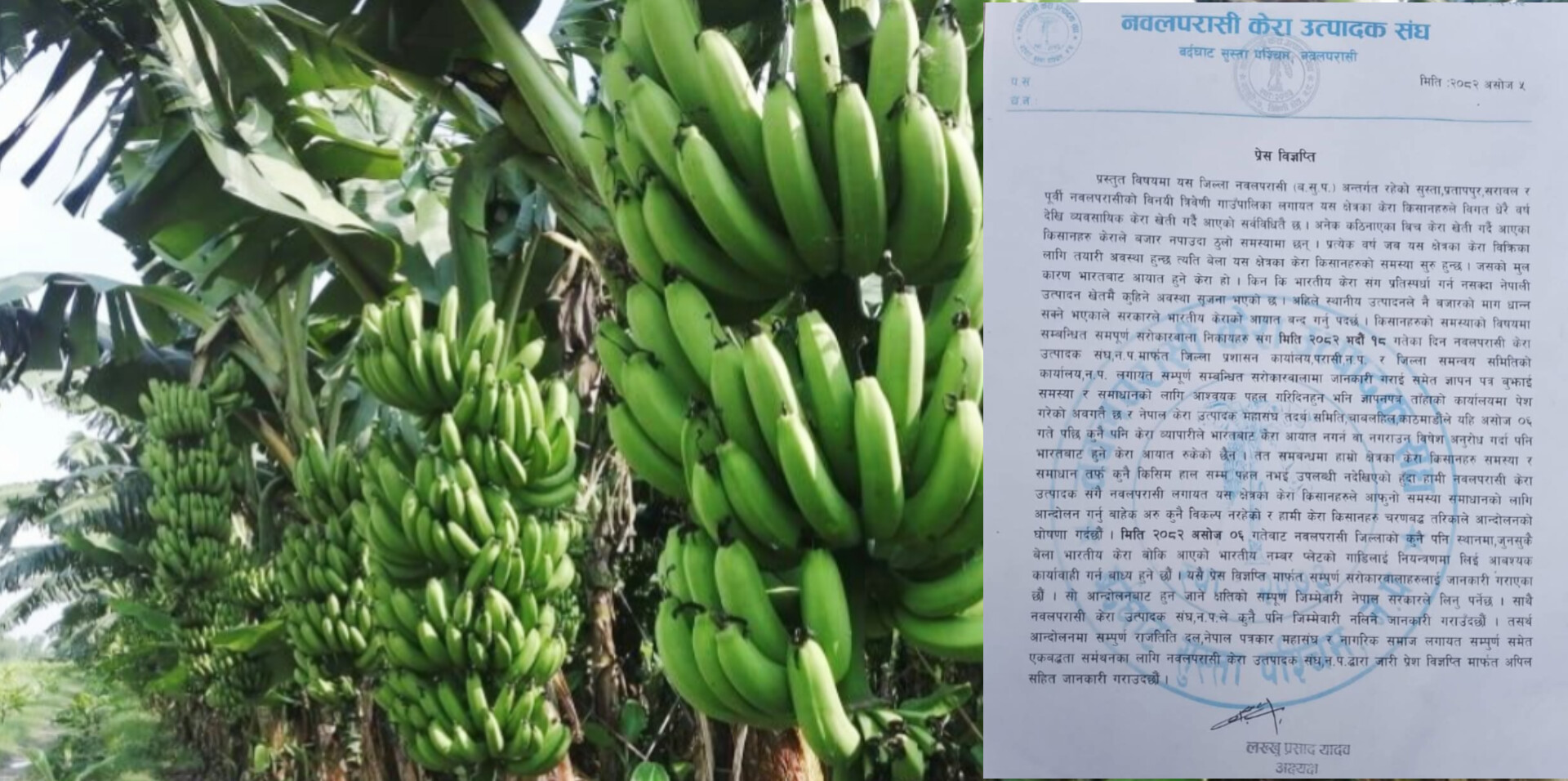 भारतीय केरा आयात रोकिनुपर्छ भन्दै नवलपरासीका किसानले दिए आन्दोलनको चेतावनी